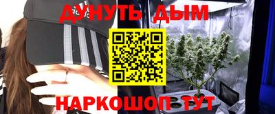 шишки Апшеронск